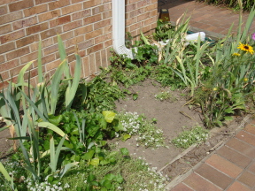 Gardening for Blog 2.JPG