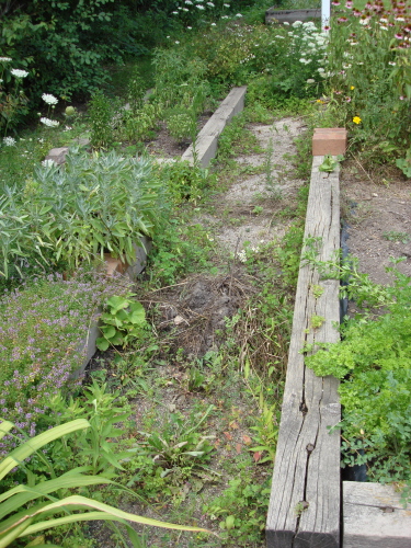 HG Before Walk Pic 8-09.jpg