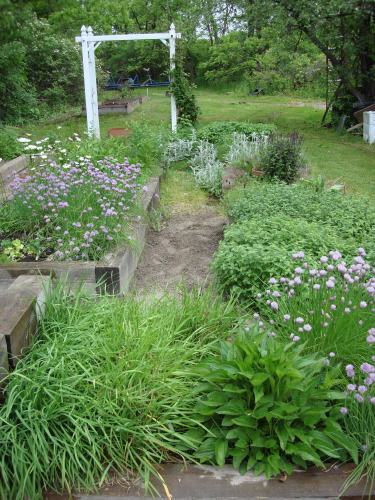 Herb Garden 1 5-25-09.jpg